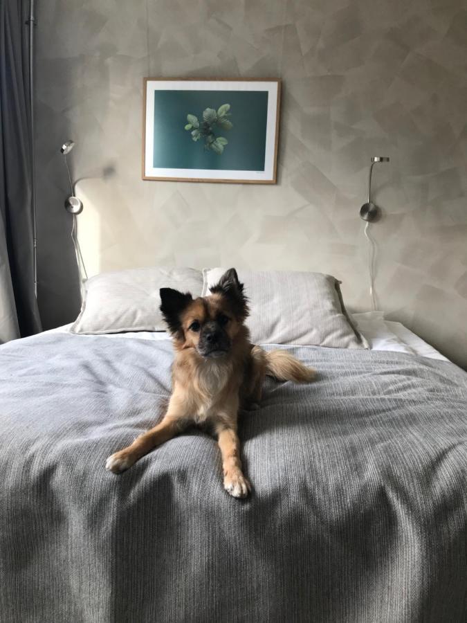 Noli Soernaeinen Hotel Helsinki Luaran gambar